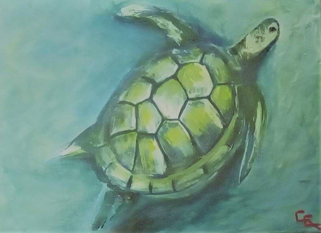 A Painting of a turtle By Gail C. Chandler